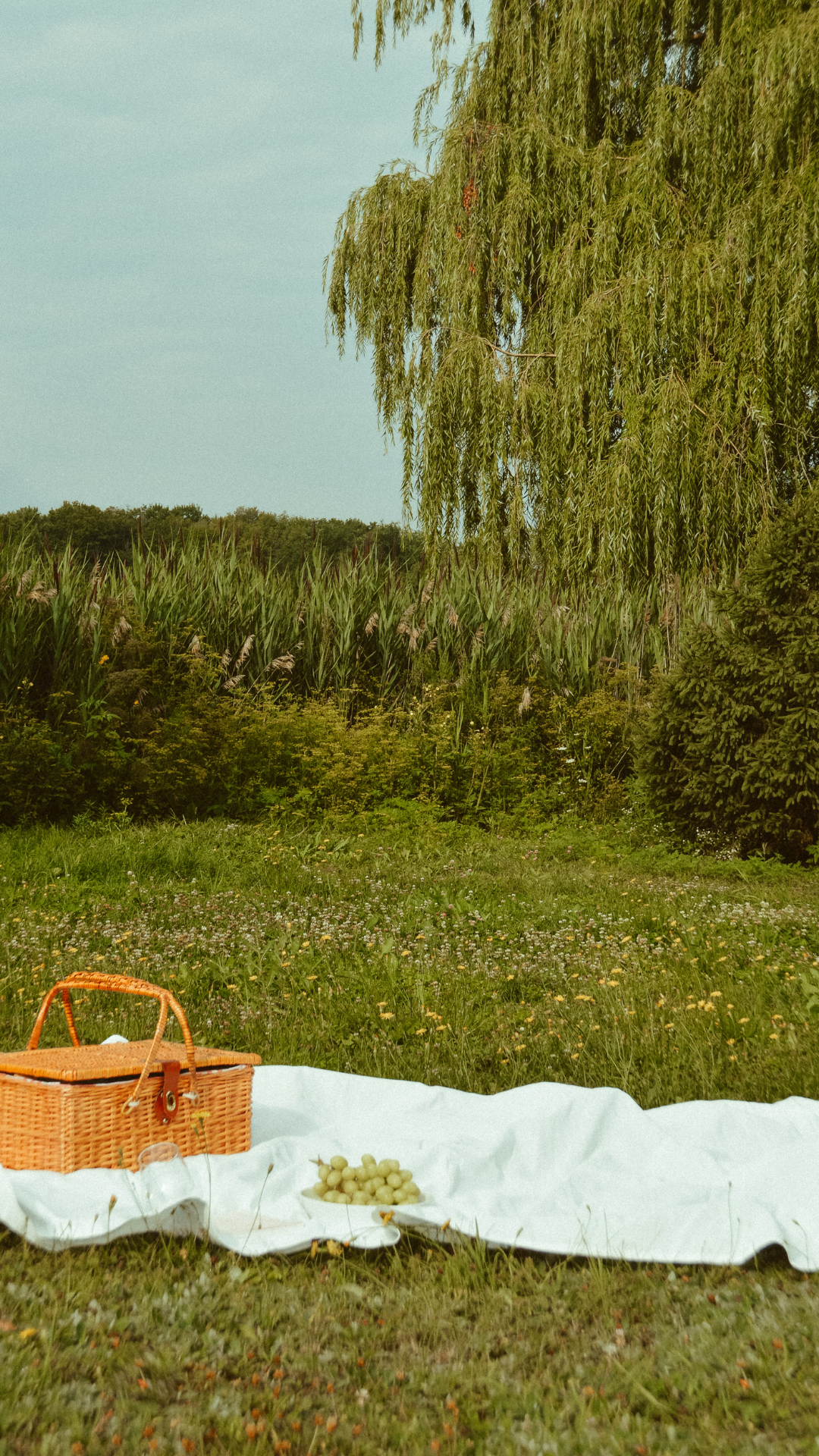 Embrace Nature for a Healthier You with Alchemy Elixirs πΏ